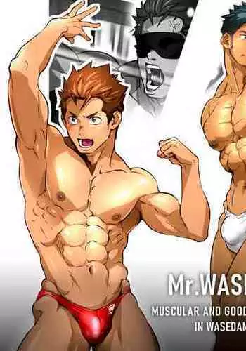 Mr.WASEDAN