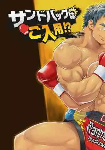 Sandbag wa Go Nyuuyou!?