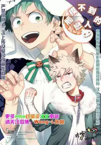 (Douyara Deban no Youda! 14) [Bakuchi Jinsei SP (Satsuki Fumi)] Invisible Lover (Boku no Hero Academia) [Chinese] [Wong.L咔嚓汉化]