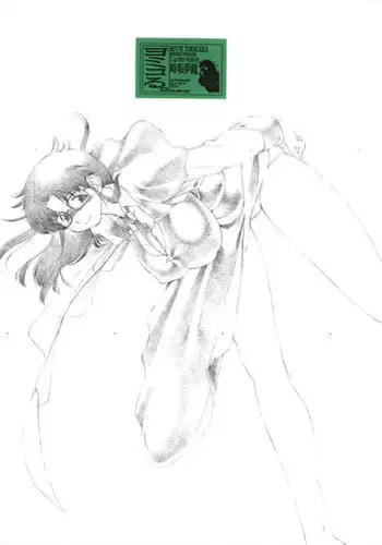 (Kyonyuukko 02) [Lip van Winkle (Tokisaka Mugi)] Yomikoru (Read or Die)