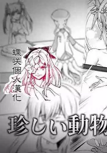 Mezurashii Doubutsu no Hakusei