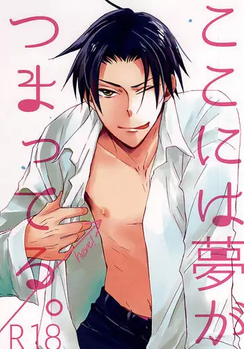 (C88) [Nekoya (Neiko)] Koko ni wa Yume ga Tsumatteru. (Kuroko no Basuke)