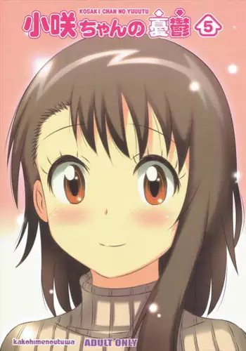 (COMIC1☆10) [Kakohimenoutuwa (Yuumazume)] KOSAKI CHAN NO YUUUTU 5 (Nisekoi)