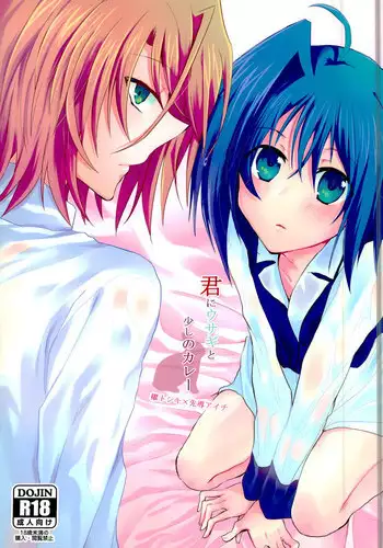 (CCOsaka97) [Gum Tape Type (Nauchi)] Kimi ni Usagi to Sukoshi no Curry (Cardfight!! Vanguard)