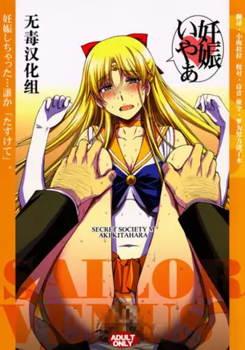 (C91) [Secret Society M (Kitahara Aki)] Ninshin Shichatta... Dareka "Tasukete". (Bishoujo Senshi Sailor Moon) [Chinese] [无毒汉化组]