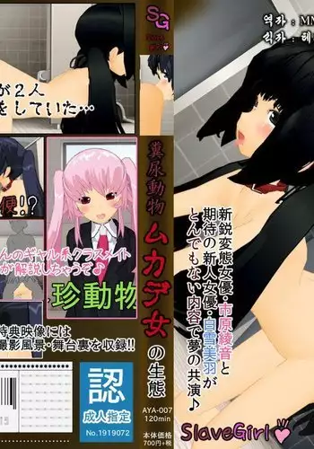 Muriyari AV Joyuu Ayane-chan