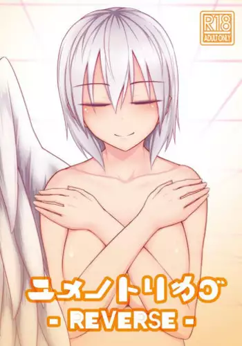 [Lapiz Lazuli Kouseki (Kuroha Rapid)] Yume no Torikago -REVERSE- (Touhou Project) [Digital]