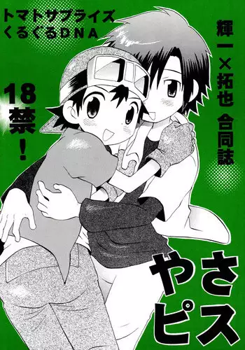 [KuruGuru DNA (Hoshiai Hilo)] YasaPis (Digimon Frontier)