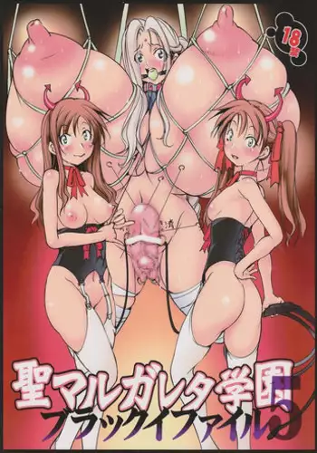 (C83) [Algolagnia (Mikoshiro Honnin)] St.Margareta Gakuen Blackfile 5 (Original)