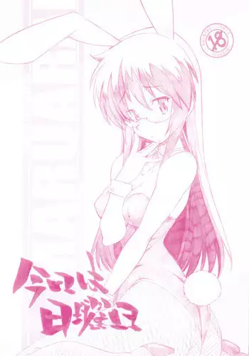 (C76) [Maruarai (Arai Kazuki)] Kyou wa Nichiyoubi (Hayate the Combat Butler)